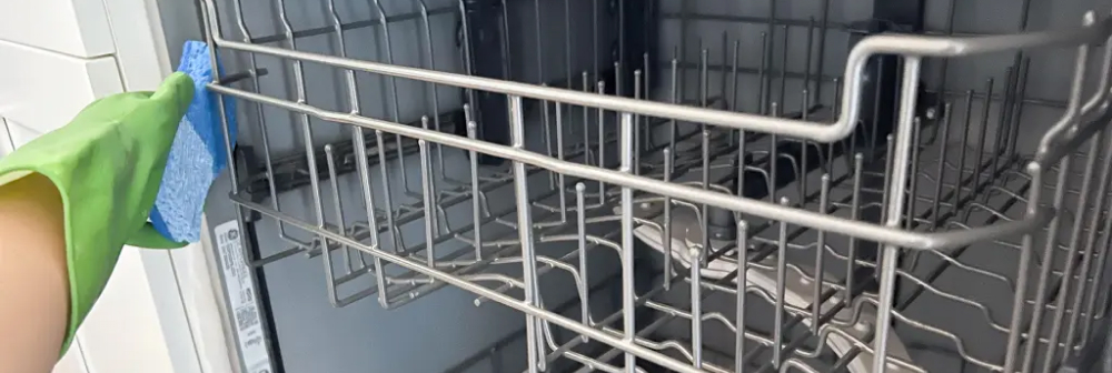 black mold in dishwasher