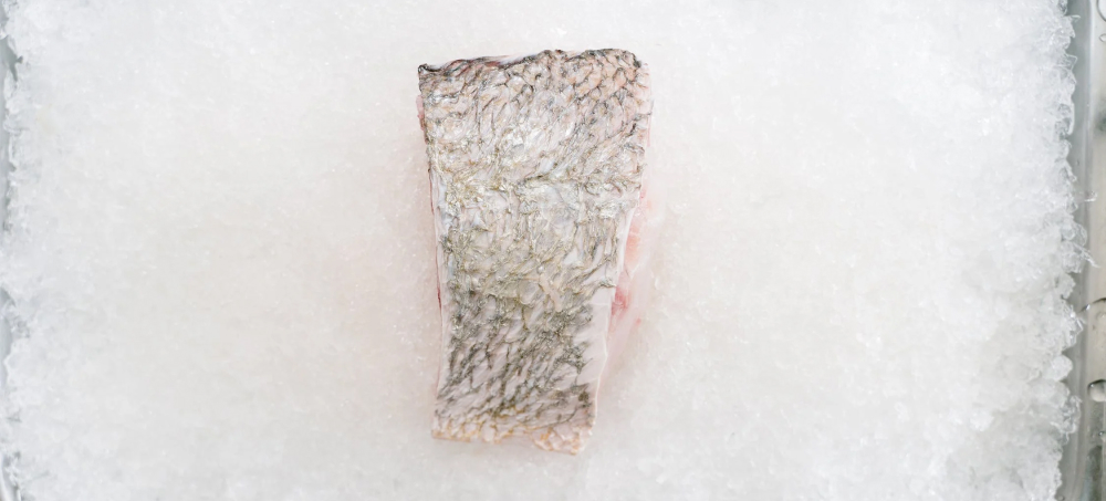 ac compressor hot to touch