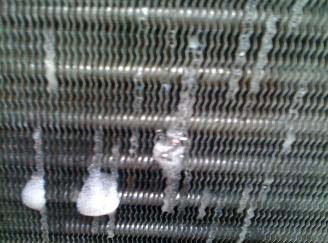 fridge stopped cooling